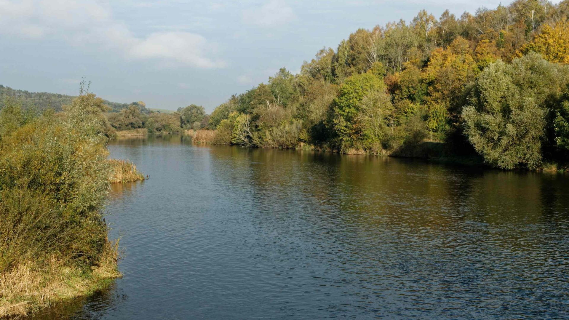 Vue de la vallée de la Meurthe sauvage à Bertrichamps - Agrandir l'image, fenêtre modale