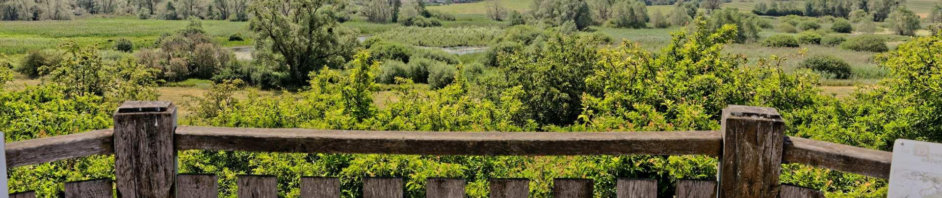 Marais de Droitaumont à Jarny