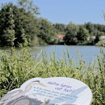 ENS - Plan d'eau de Damelevières