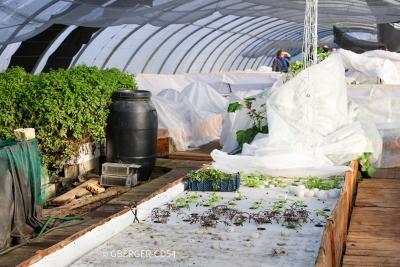 Agrandir l'image 3 sur 5, fenêtre modale