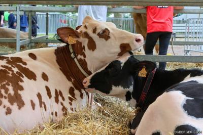 Signature de la charte agricole 2025 - Agrandir l'image 3 sur 5, fenêtre modale