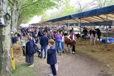 Signature de la charte agricole 2025 - Agrandir l'image 4 sur 5, fenêtre modale