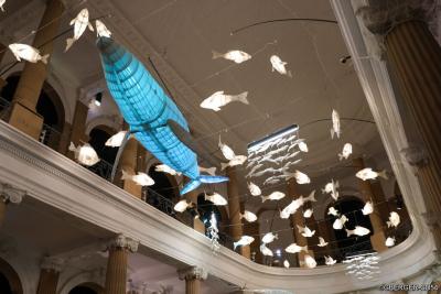 Agrandir l'image 4 sur 6, fenêtre modale