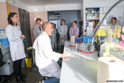 Agrandir l'image 2 sur 3, fenêtre modale