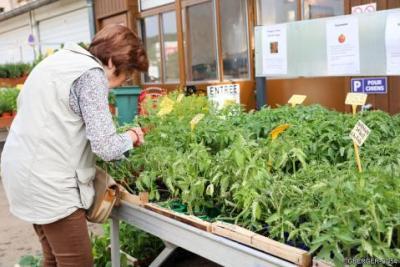 Visite par les élus du canton Nancy-2 - Agrandir l'image 1 sur 8, fenêtre modale