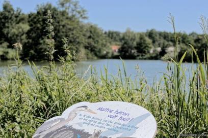 ENS - Plan d'eau de Damelevières - Agrandir l'image, fenêtre modale
