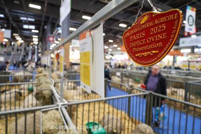 Salon International de l'Agriculture - Agrandir l'image, fenêtre modale