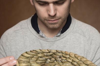 Portrait du chef avec sa tarte tatin de courgettes - Agrandir l'image, fenêtre modale