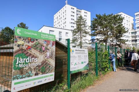 Jardin partagé