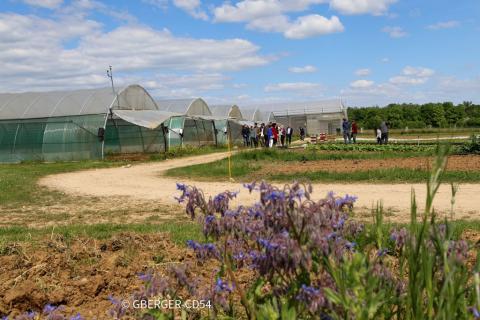 Ferme à Liverdun